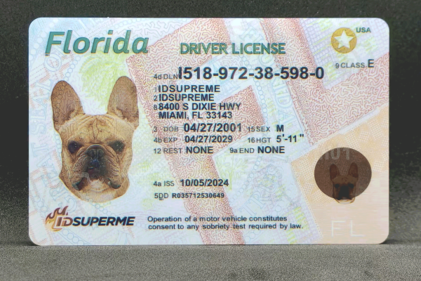 Florida Fake ID