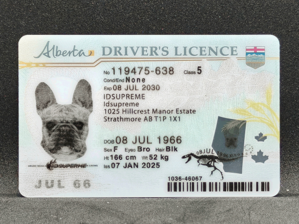 Alberta Scannable Fake ID