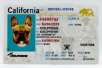 California Fake ID