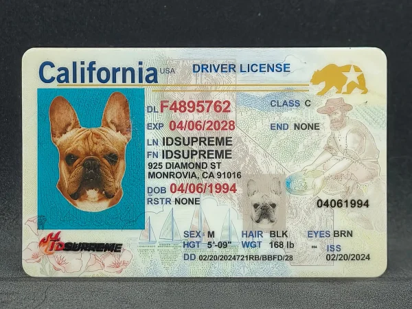 Custom Pet California Card