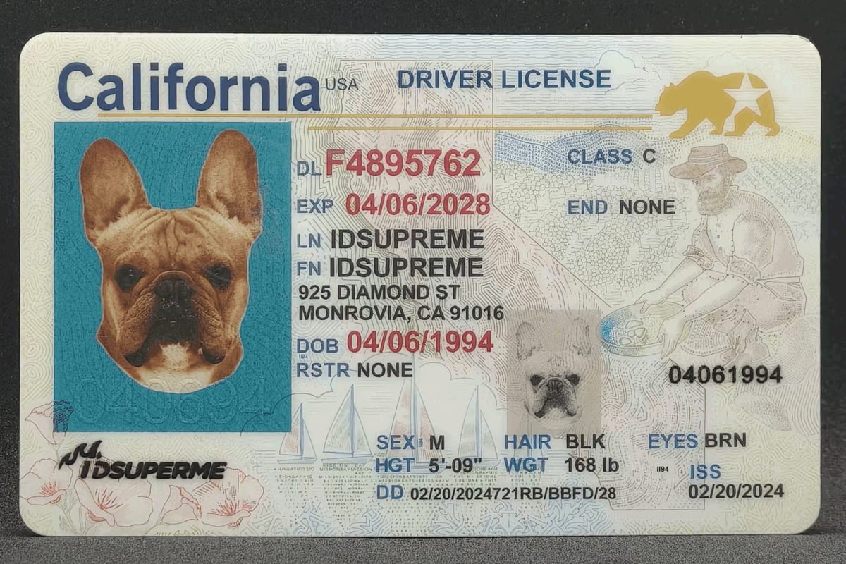 California Fake ID