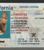 California Fake ID