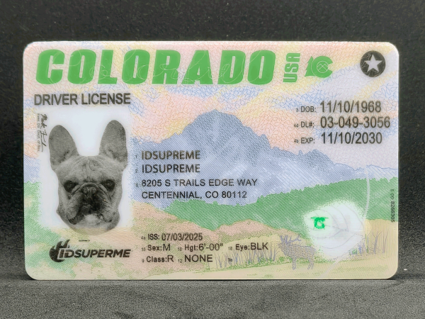 Colorado Fake ID