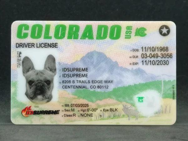Custom Pet Colorado Card