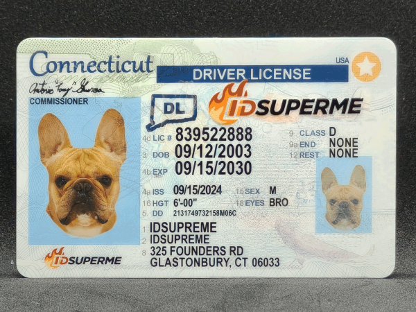 Connecticut Fake ID