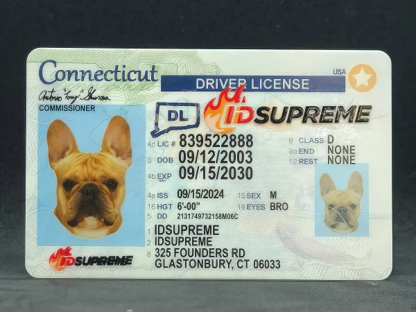 Custom Pet Connecticut Card