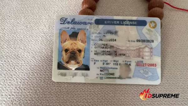 Custom Pet Delaware Card