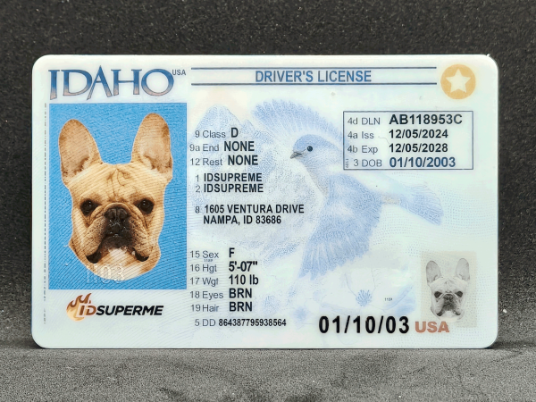 Idaho Fake ID