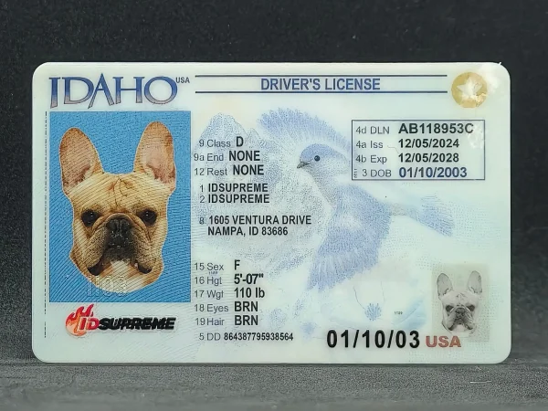 Custom Pet Idaho Card