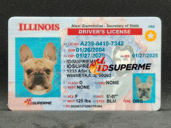 Illinois Fake ID
