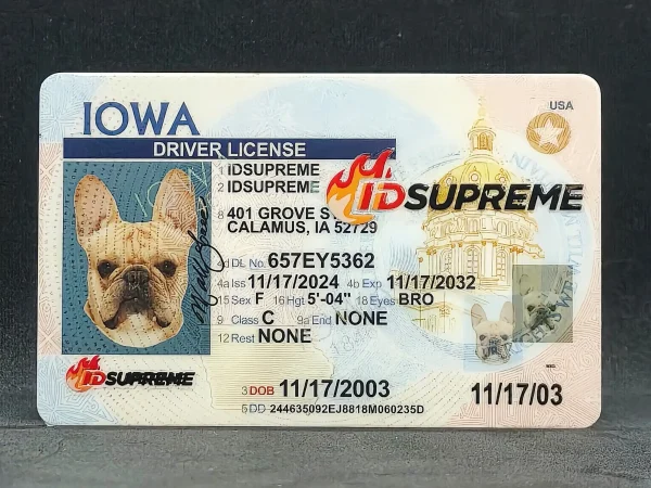 Custom Pet Iowa Card