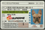 Japan Fake DL