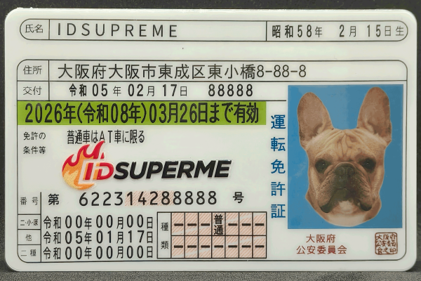 Japan Fake DL