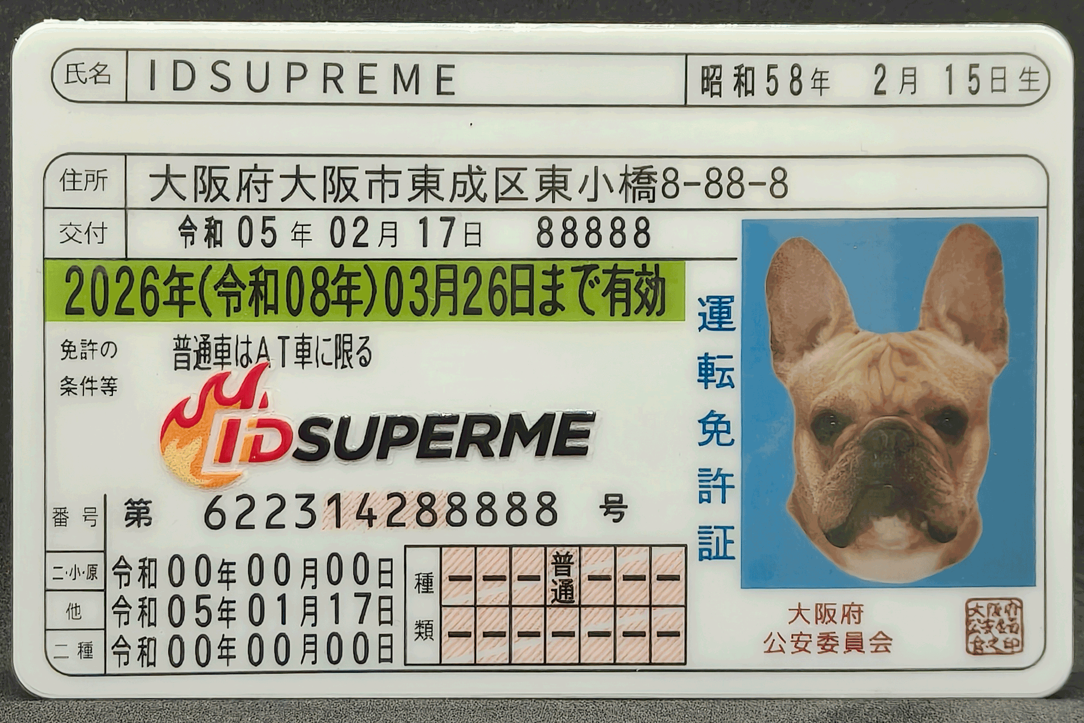 Japan Fake DL