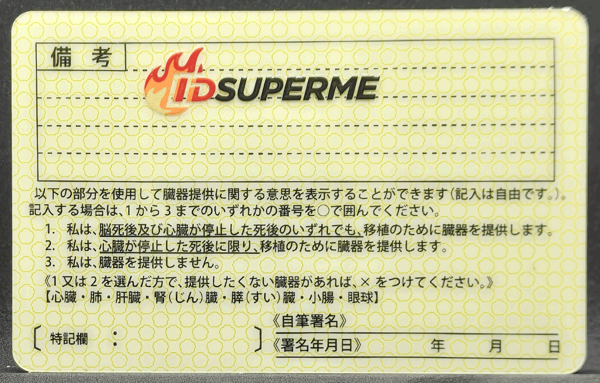 Japan Fake DL