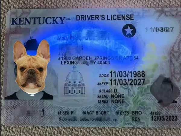 Custom Pet Kentucky Card
