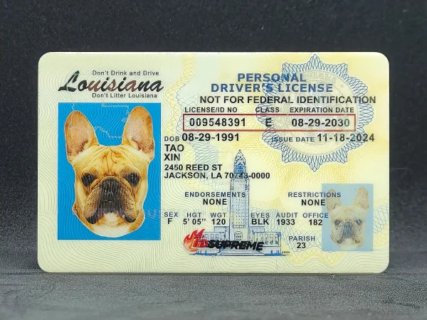 Custom Pet Louisiana Card