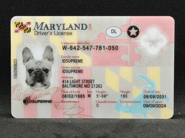 Maryland Fake ID
