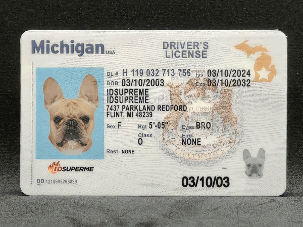 Michigan Fake ID