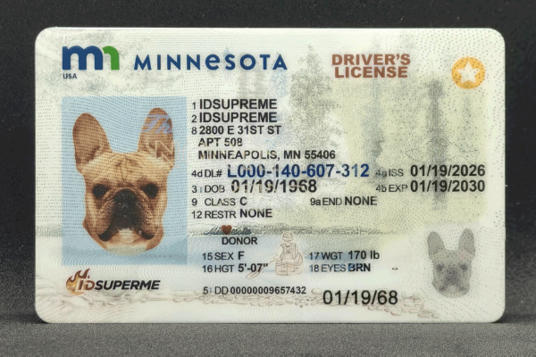 Minnesota Fake ID