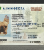 Minnesota Fake ID