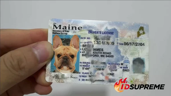 Custom Pet Maine Card