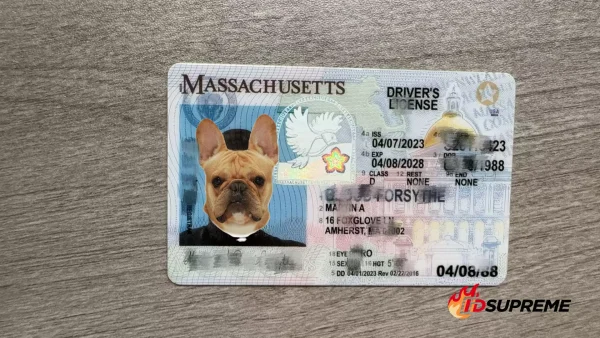 Custom Pet Massachusetts Card
