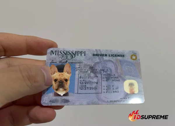 Custom Pet Mississippi Card