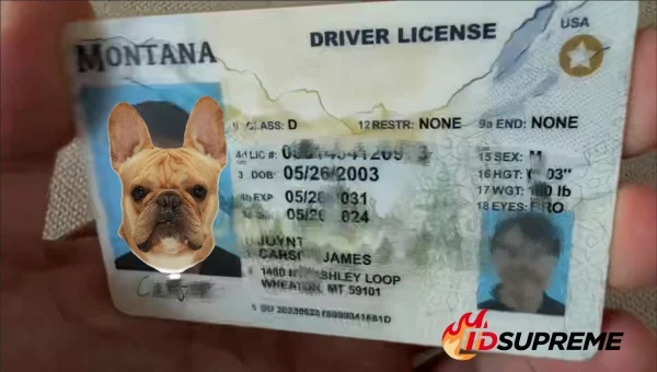 Custom Pet Montana Card