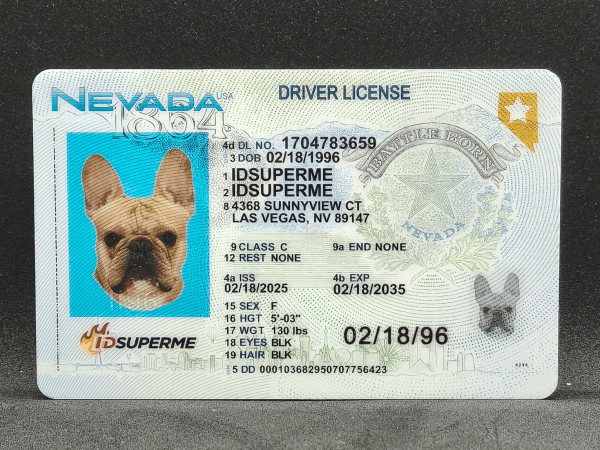 Nevada Fake ID