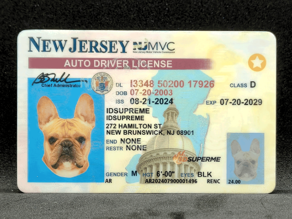 New Jersey Fake ID