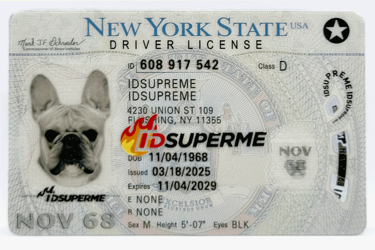 New York Fake ID