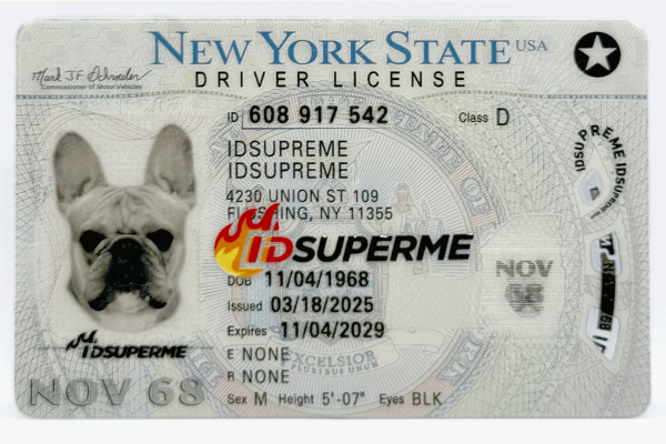 New York Fake ID