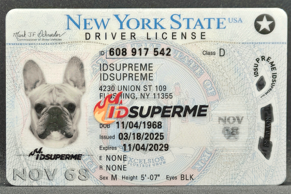 New York Fake ID