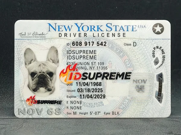 Custom Pet New York Card