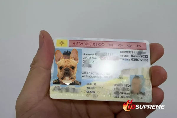 Custom Pet New Mexico Card