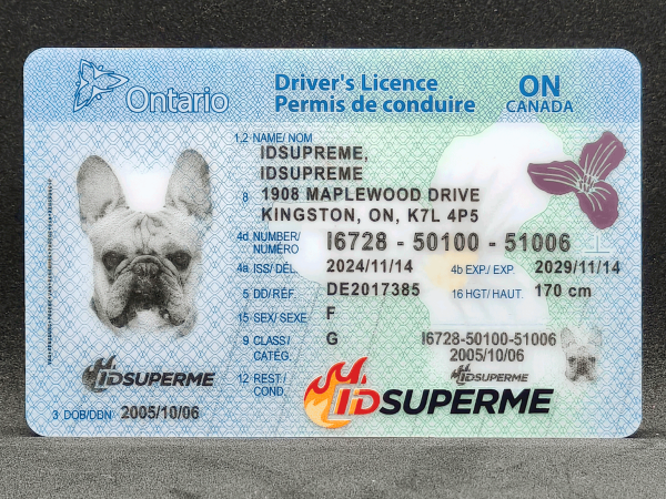 Ontario Scannable Fake ID