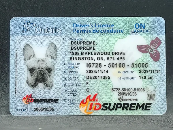 Custom Pet Ontario Card