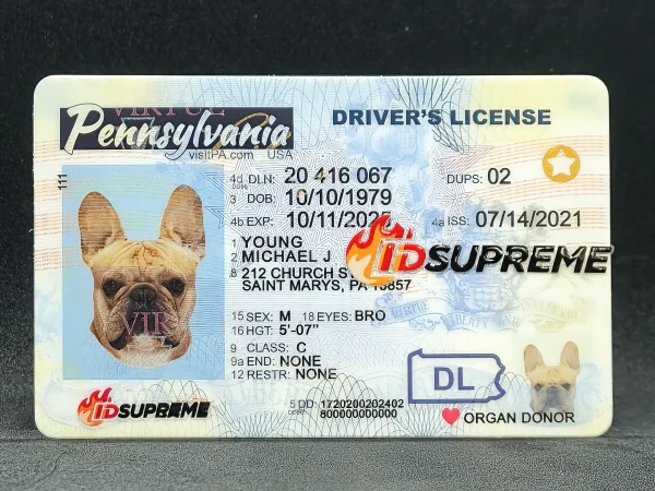 Custom Pet Pennsylvania Card