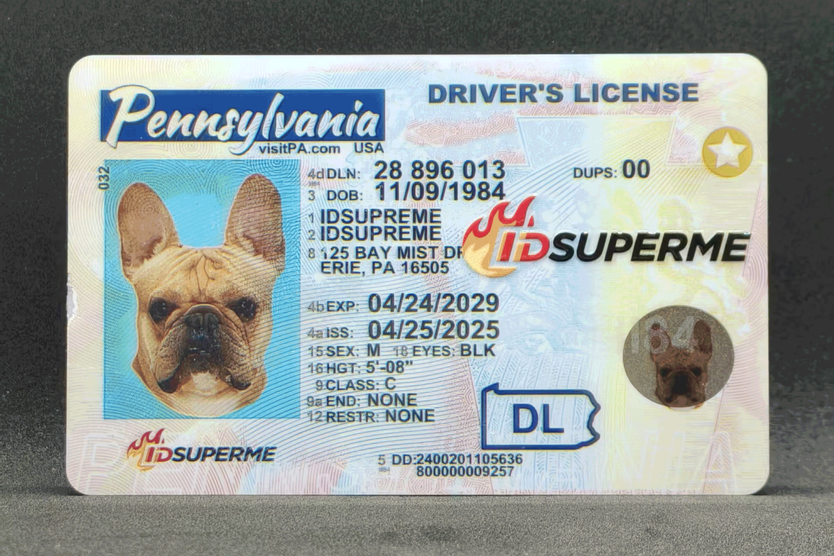Pennsylvania Fake ID