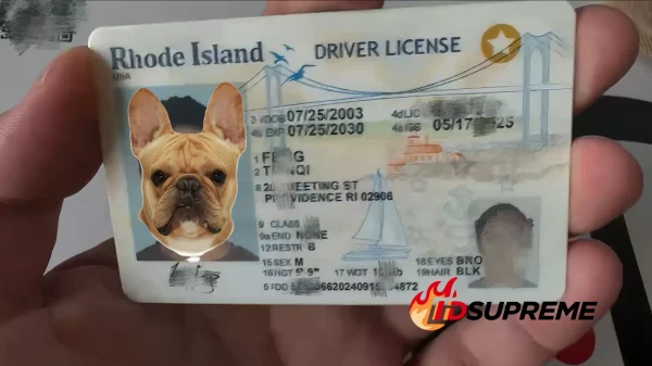 Custom Pet Rhode Island Card