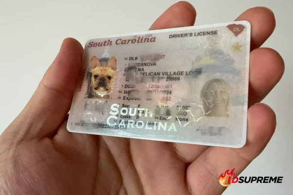 Custom Pet South Carolina Card