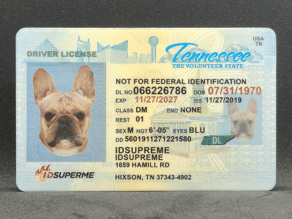 Tennessee Scannable Fake ID