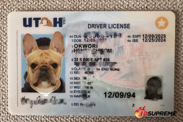 Custom Pet Utah Card