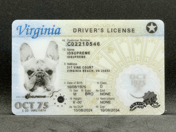 Virginia Scannable Fake ID