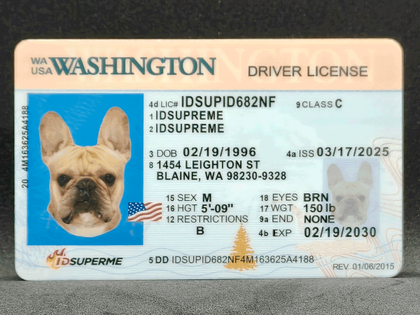 Washington Scannable Fake ID