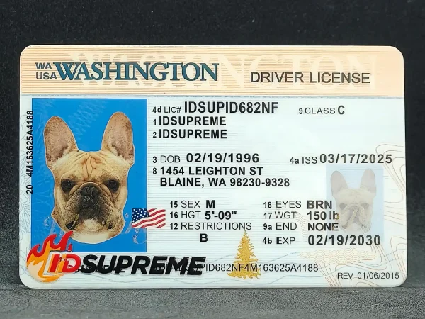 Custom Pet Washington Card